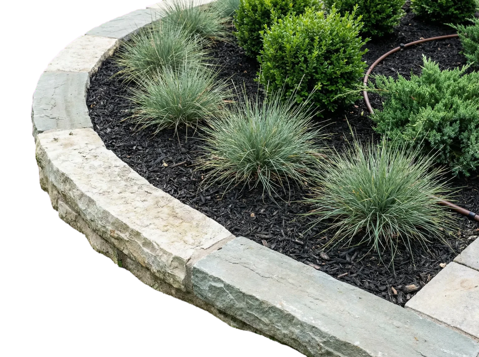 Polished Boulder landscape detail with balanced low-water plantings
